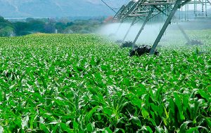 Agroindustria
