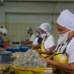 Reforma procesal laboral