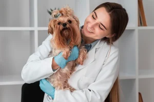 Veterinaria